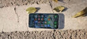 Apple iPhone 11 (A2223) 64GB 绿色 移动联通电信4G手机 双卡双待 实拍图