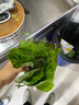林中山【顺丰发货】新鲜紫苏叶苏子叶泡茶食用包饭韩国烤肉东北绿色蔬菜 500g 实拍图