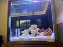 汇鳞鼎（HLD）超白海缸海水缸全套珊瑚小丑鱼缸方形背过滤SPS LPS背滤海水缸 FCB-450套缸 实拍图