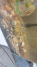 HANYANG黄金沙1kg水草鱼缸底砂南美雨淋化妆细沙免洗龟缸水族养鱼造景 实拍图