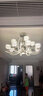 韵钰 欧式客厅吊灯大气家用法式餐厅吊灯轻奢水晶卧室灯具陶瓷吊灯 18头-配全光谱三色光源 实拍图
