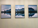 MONADIY客厅装饰画沙发背景墙三联画现代简约山水风景壁画卧室餐厅挂画 09 梵高杏花（三幅组合） 拉丝银框 50*70cm PS框+油布 实拍图