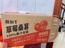 桑加1NFC草莓桑葚复合果汁饮品果蔬汁饮料整箱290ml*15瓶 实拍图