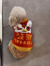 华元宠具（hoopet）猫咪衣服新年拜年服猫猫秋冬装德文保暖冬装宠物过年喜庆发财唐装 发财年兽毛衣 S-胸围32-36cm（建议2-4斤） 实拍图