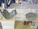 爱咪宠猫笼子家用猫窝别墅带厕所一体室内带猫砂盆大号幼猫猫屋猫咪笼子 升级加大两层 防带砂 带滑轮 新手款：猫窝+吊床+饭水碗+厕所 实拍图