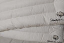 博洋（BEYOND）博洋家纺枕头芯可水洗防螨双人软枕芯低枕头一对装木棉花48*74cm 实拍图