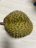 京鲜生 进口金枕头榴莲 巴掌榴莲 2-3斤 1个装  鲜果 生鲜 新鲜水果 实拍图