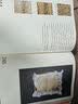 NOMA餐厅发酵指南 美食大赛 实拍图
