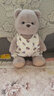 莉娜熊（TeddyTales）小熊玩偶毛绒玩具熊泰迪手作熊安抚娃娃送礼送人新年礼物女生 拿铁色 中号站姿约30cm 实拍图