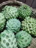 采缇（CAITI）现货大目凤梨释迦果5斤 新鲜番荔枝佛头果水果孕妇整箱 一个装（单果250g左右中通快递） 实拍图