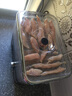 WMF福腾宝干果机小型水果食物风干机茶叶烘焙机家用食品电烘干机烘培自制肉干水果干 干果机 实拍图