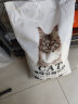 弗兰士 宠物松木猫砂 猫咪清洁除臭吸水快通用型10KG 原味豆腐猫砂10kg 晒单实拍图