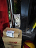 猫小蓓辣椒粉 特辣 450g大瓶细粉细辣椒面撒料香辣蘸料淄博烧烤烤肉干碟 实拍图