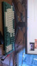 雷柏（Rapoo） V500PRO米绿升级款 104键有线背光机械键盘 PBT双色键帽办公游戏全键无冲可编程键盘 快银轴 实拍图