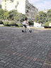 威尔杰迪折叠电动车轻便折叠滑板车超轻迷你助力代步便携双轮小型滑板车 QEX/双折把/贵族白/双碟刹 实拍图