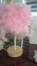 良合 羽毛灯卧室床头柜创意梦幻简约现代小夜灯睡眠结婚庆房温馨装饰 【粉色】羽毛台灯 实拍图