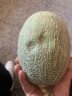文勤新疆吐鲁番哈密瓜网纹甜瓜应季生鲜水果 1-2个【净重3-4斤】 实拍图