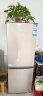 Haier海尔冰箱小型小冰箱双开门二门超薄风冷无霜/直冷藏冷冻两用家用大容量出租房用办公室节能冰箱 180升双门节能冰箱日耗0.69度电 实拍图