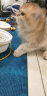 卡咔咖 猫碗陶瓷猫食盆猫粮碗宠物碗双碗15°护颈猫盆狗碗猫饭碗猫粮盆 晒单实拍图