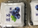 京鲜生 国产蓝莓 6盒装 果径18mm+ 新鲜水果 源头直发包邮 晒单实拍图