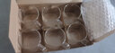 6只装耐热玻璃杯子功夫茶具日式加厚喝茶带把品茗小茶杯主人单杯 手把玻璃杯6个 实拍图