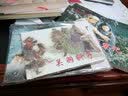 红色经典系列：渡江侦察记 实拍图
