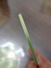 风和大海圆形硅胶杯垫耐高温茶杯垫子防水防滑水杯垫隔热杯托简约茶桌垫 小号8.2cm水蓝色2个装 实拍图