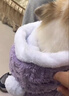 阿莫尔猫咪衣服秋冬保暖披风毛毯斗篷小型犬德文布偶猫睡袍狗狗被子披肩 紫色【披风毛毯两用】 L 建议25斤内  具体看尺码 实拍图