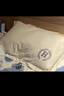 南极人（Nanjiren）冰丝枕套枕头套夏季枕套48x74cm一对冰丝枕头套枕巾单人一只枕席 豆沙【单只装冰丝枕套】 48x74cm【可水洗机洗】 实拍图