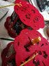 青苇 中秋节手提灯笼投影走马灯2套装儿童幼儿园diy手工材料包花灯 实拍图