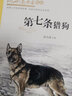 沈石溪画本（新版）·第七条猎狗 动物小说大王沈石溪经典作品  实拍图
