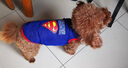 |夏季宠物背心 泰迪狗衣服 猫衣服 雪纳瑞比熊宠物衣服装中小型犬狗狗网格布透气卡通可爱T恤 蓝色超人 XL适合胸围48cm背长40cm体重12斤内 实拍图
