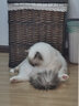 VIyo美国 去油膏猫咪去黑下巴油尾巴狗狗护毛素goop去除油脂沐浴露 100ml 1瓶 -去油膏【分装】 实拍图