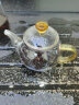 锦格玻璃茶壶耐高温功夫茶具小号过滤可烧煮茶透明家用简约加厚泡茶器 H-22茶壶黄色把 260ml 实拍图
