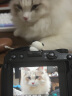 尼康（Nikon）【全新国行带票】Z30入门级微单相机Vlog翻转屏自拍旅游家用高清数码相机拆单机 z30单电相机 Z30单机+Z DX 12-28广角镜头 套餐一【至誉64G卡新手入门必备套餐】 实拍图