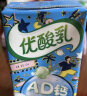 伊利伊利优酸乳250ml*24盒营养早餐原味/草莓/AD钙/蓝莓 【4月】杏子味250ml*24盒 实拍图