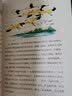 森林报博物版·中小学必读经典（套装共4册） 实拍图