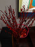 开时果 银柳鲜枝干花年宵花卉 红色真花福桶银柳水培植物室内装饰鲜花 【80cm】银柳40枝（喜庆红） 实拍图