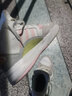 阿迪达斯（adidas）三叶草女鞋 秋季新款运动鞋休闲鞋复古高帮耐磨板鞋 三叶草/浅灰-汉玉白-嫩黄 36.5 实拍图