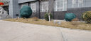 植物防寒罩包树罩加厚树木保温棉抗寒防冻无纺布保温罩果树防风罩 立体树罩-顶直径2.5*高3米 实拍图