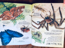 Big Book of Bugs 实拍图