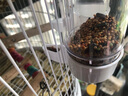 YEE鸟用饮水器自动喂食饮水小型鹦鹉玄凤鸟笼撞针水壶食盒用品配件 两只装 240ml 两用饮水喂食器 实拍图