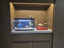 小米米家智能鱼缸小型客厅办公室桌面一键换水远程喂食超白玻璃生态缸 小米鱼缸+加热棒+高级造景+氧气泵 实拍图