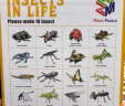 达麦欧 儿童3d立体纸质拼图恐龙昆虫套装组合 汽车拼装模型手工玩具 动物16款组合 晒单实拍图