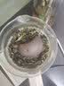 古往今来 宜兴原矿纯全紫砂壶名家手工泡茶壶家用功夫茶具套装 紫泥西施壶 300ml 周翔 截盖大西施 实拍图