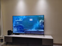 卡萨帝（Casarte）E19星河系列游戏平板电视家用120Hz高刷4K全面屏HIFI级音响4+64G 65英寸 E19 实拍图