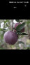 卡布诺云南昭通黑卡嘎啦苹果黑钻紫色浪漫圣诞苹果平安果新鲜稀有水果 9斤中小果70-75mm 实拍图