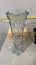 初卓花瓶富贵竹玻璃花瓶透明插花花瓶客厅摆件 30高六角花瓶图案随机 实拍图