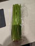 西芹750g 实拍图