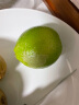四叔公果蔬（现摘现发）薄皮无籽柠檬 新鲜水果泰国品种青柠檬香水榨汁薄皮 1500g 60-180g 实拍图